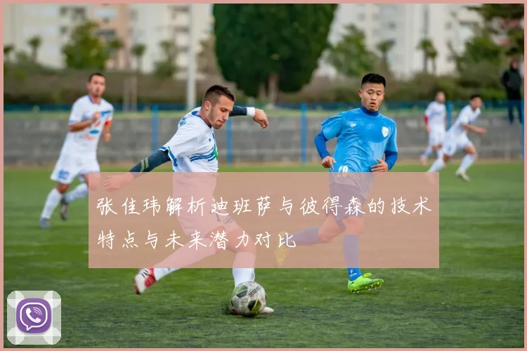 张佳玮解析迪班萨与彼得森的技术特点与未来潜力对比